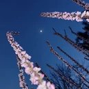 北京旅游 缩略图 7