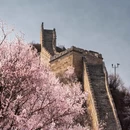 北京旅游 缩略图 4