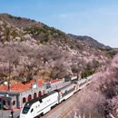 北京旅游 缩略图 1