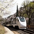 北京旅游 缩略图 7