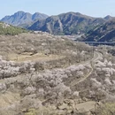 北京旅游 缩略图 3