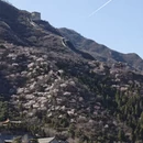 北京旅游 缩略图 4