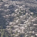 北京旅游 缩略图 5
