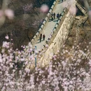 北京旅游 缩略图 1