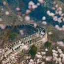 北京旅游 缩略图 2