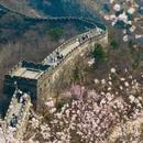 北京旅游 缩略图 4