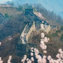 北京旅游 缩略图 7