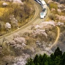 北京旅游 缩略图 1
