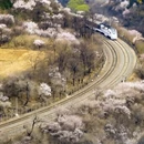 北京旅游 缩略图 2