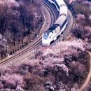 北京旅游 缩略图 3