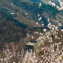 北京旅游 缩略图 8