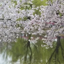 北京旅游 缩略图 2