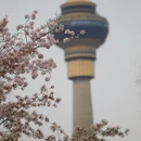 北京旅游 缩略图 4