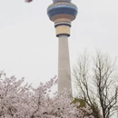 北京旅游 缩略图 1