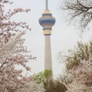 北京旅游 缩略图 3