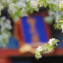 北京旅游 缩略图 7