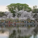 北京旅游 缩略图 5