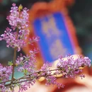 北京旅游 缩略图 10
