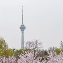 北京旅游 缩略图 1