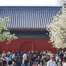 北京旅游 缩略图 9