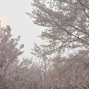 北京旅游 缩略图 1