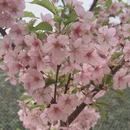 北京旅游 缩略图 5