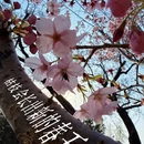 北京旅游 缩略图 1