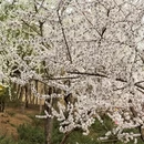 北京旅游 缩略图 5