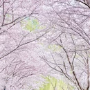 北京旅游 缩略图 2