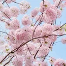 北京旅游 缩略图 1
