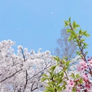 北京旅游 缩略图 6