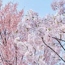 北京旅游 缩略图 5