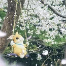 北京旅游 缩略图 14