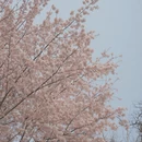 北京旅游 缩略图 4