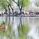 北京旅游 缩略图 9