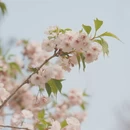 北京旅游 缩略图 5