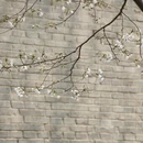 北京旅游 缩略图 7