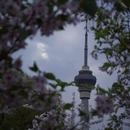 北京旅游 缩略图 6