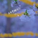 北京旅游 缩略图 10