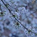 北京旅游 缩略图 11