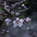北京旅游 缩略图 15