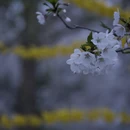 北京旅游 缩略图 16
