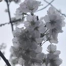 北京旅游 缩略图 4