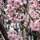 北京旅游 缩略图 3