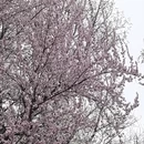 北京旅游 缩略图 7