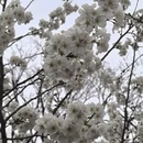 北京旅游 缩略图 5