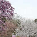 北京旅游 缩略图 4