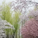北京旅游 缩略图 5