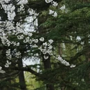 北京旅游 缩略图 8