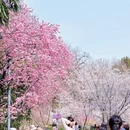 北京旅游 缩略图 3